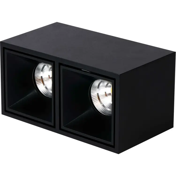 Накладной светильник Neylight NL-0810CS-B