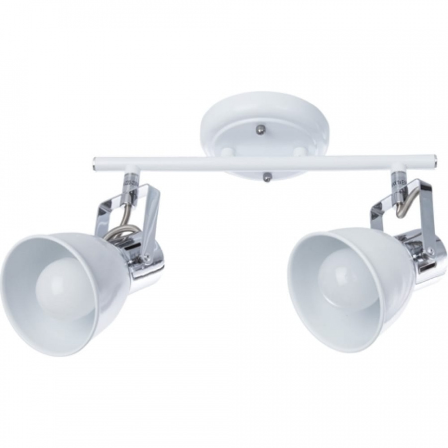 Потолочный светильник ARTE LAMP A1677PL-2WH