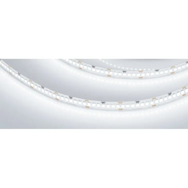 Светодиодная лента Arlight RT-A252-10mm 24V White6000 022648(2)