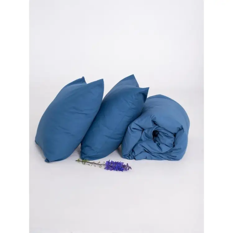 Комплект постельного белья ООО «Текстильная компания «Русский Дом» КПБ1,5/20с259.0415