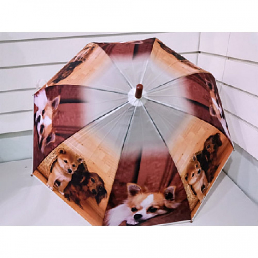 Детский зонт Bikson ХГ2990