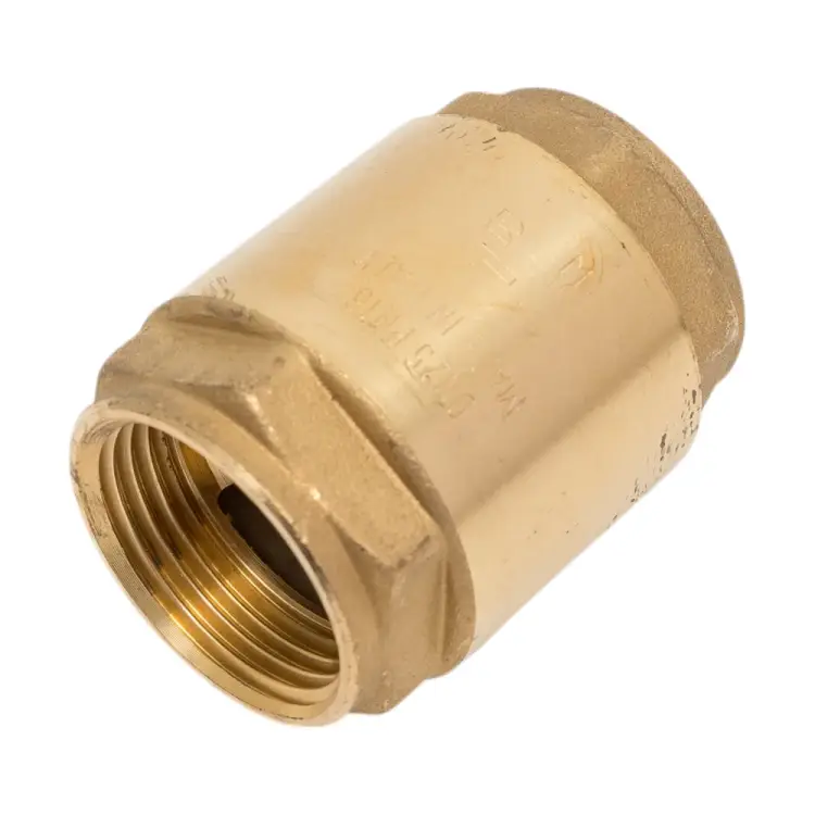 Дисковый обратный клапан Giacomini R60 R60Y005