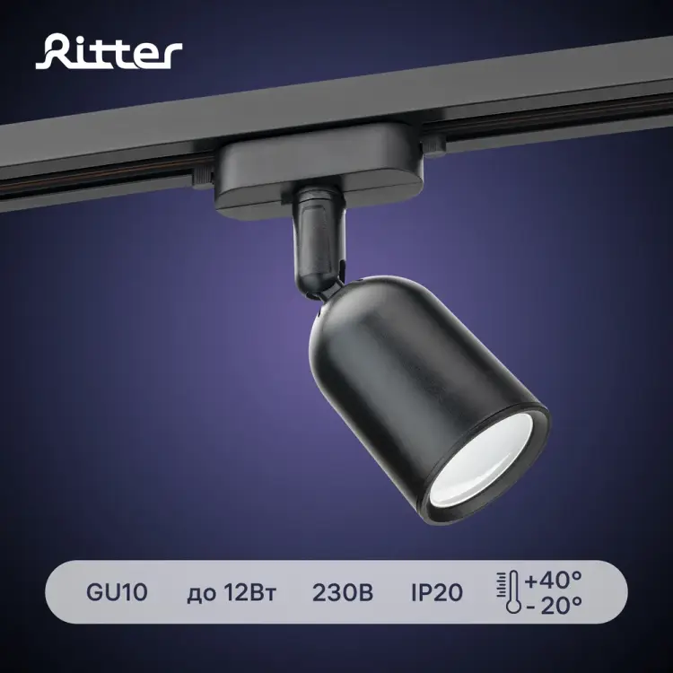 Трековый светильник RITTER Artline 59870 5