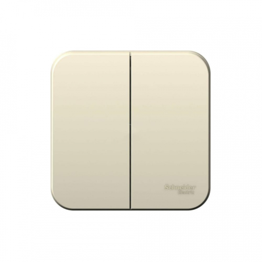Двухклавишный выключатель Schneider Electric BLANCA