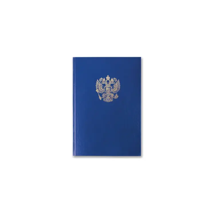 Книга учета BRAUBERG 130141 Книга учета BRAUBERG 130141