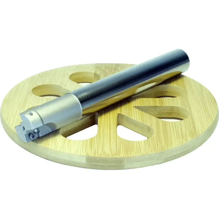 Корпусная фреза PROSAERS 31589