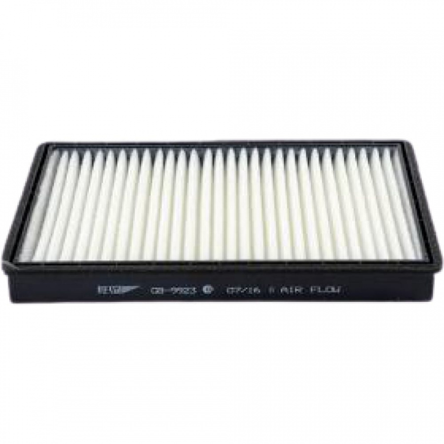Фильтр салона CHEVROLET Captiva 07, OPEL Antara 06 BIG FILTER GB9923
