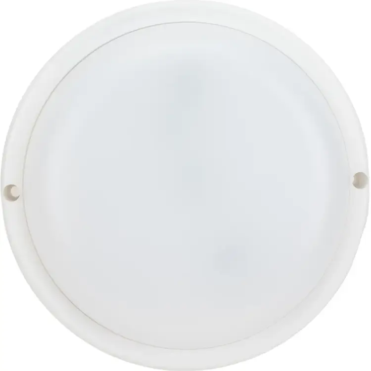 Настенно-потолочный светодиодный светильник для ЖКХ КОСМОС KOC_DPO20WR1.64K