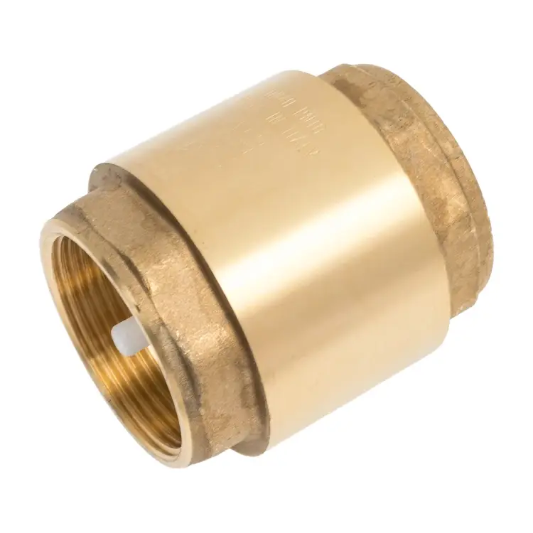 Осевой обратный клапан Giacomini R60 R60Y007 019-0784