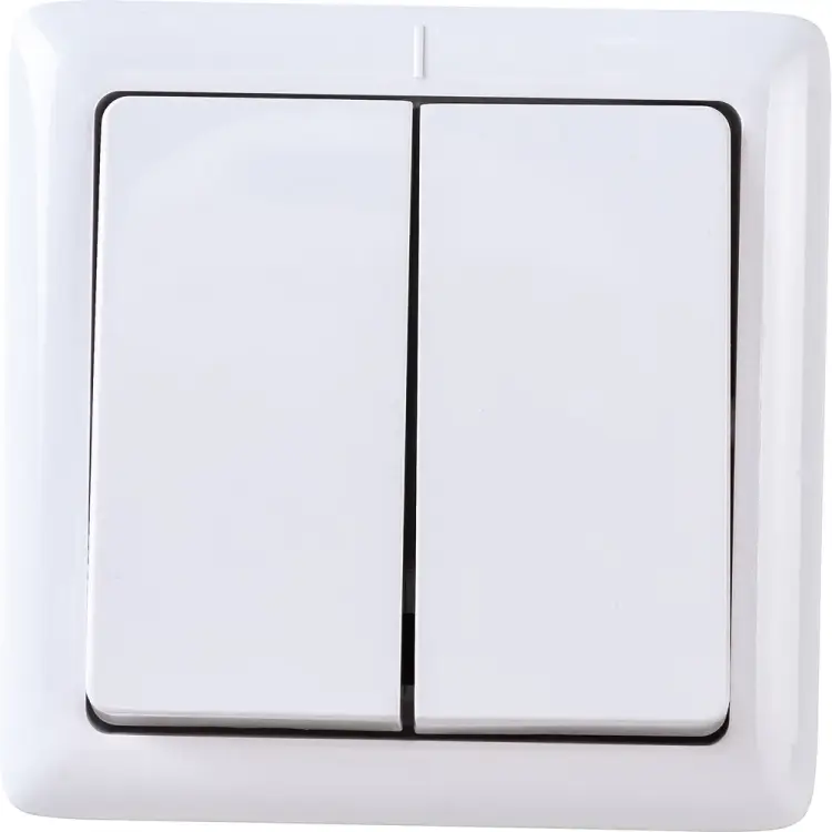 Двухклавишный выключатель Systeme Electric ХИТ VA56-232I-B