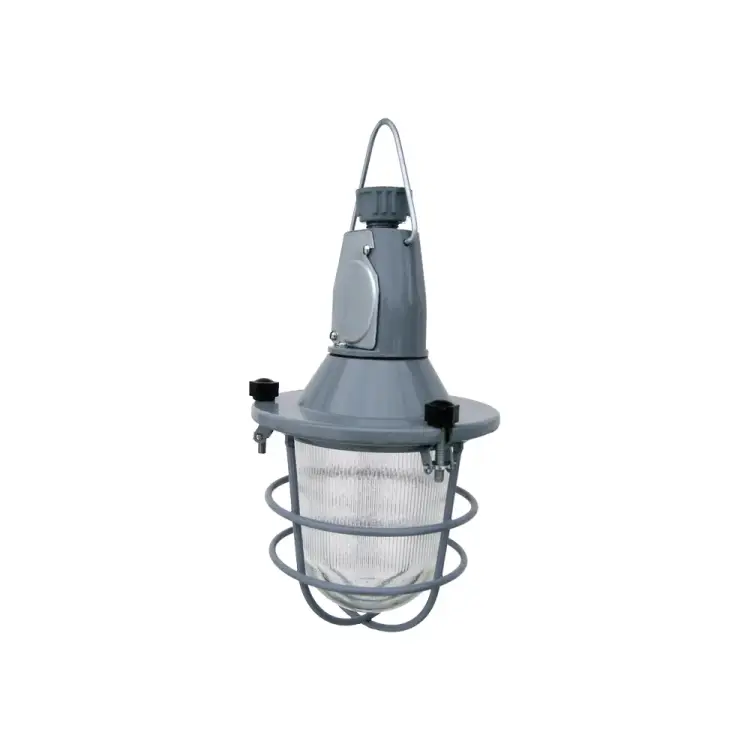 Светильник ЭЛЕТЕХ НСП-11-100-425 1005550288