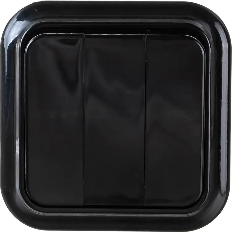 Выключатель BYLECTRICA ПРАЛЕСКА А056-137 ч