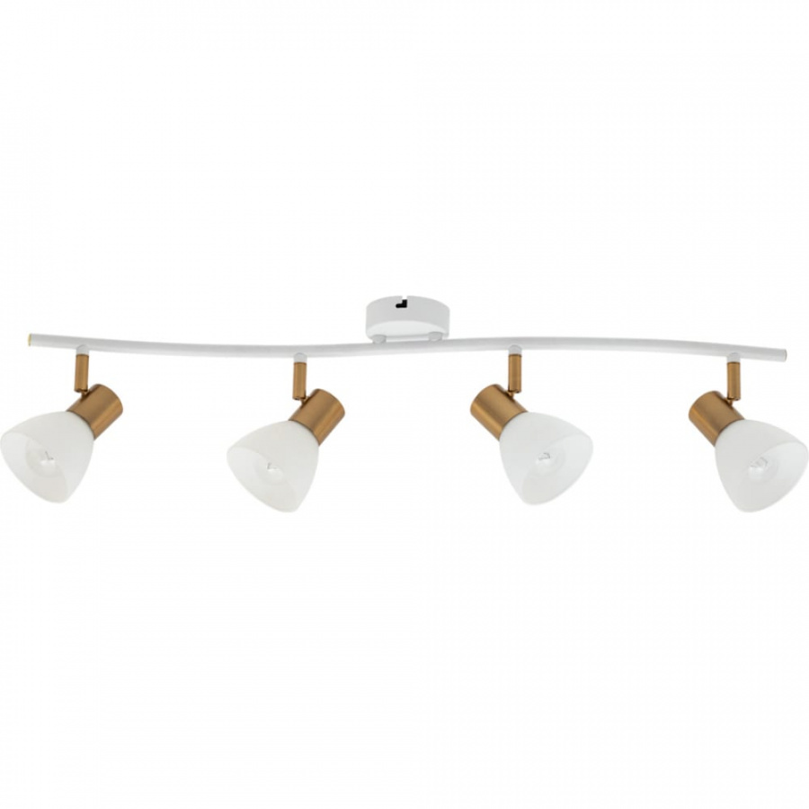 Потолочный светильник ARTE LAMP A3117PL-4WH