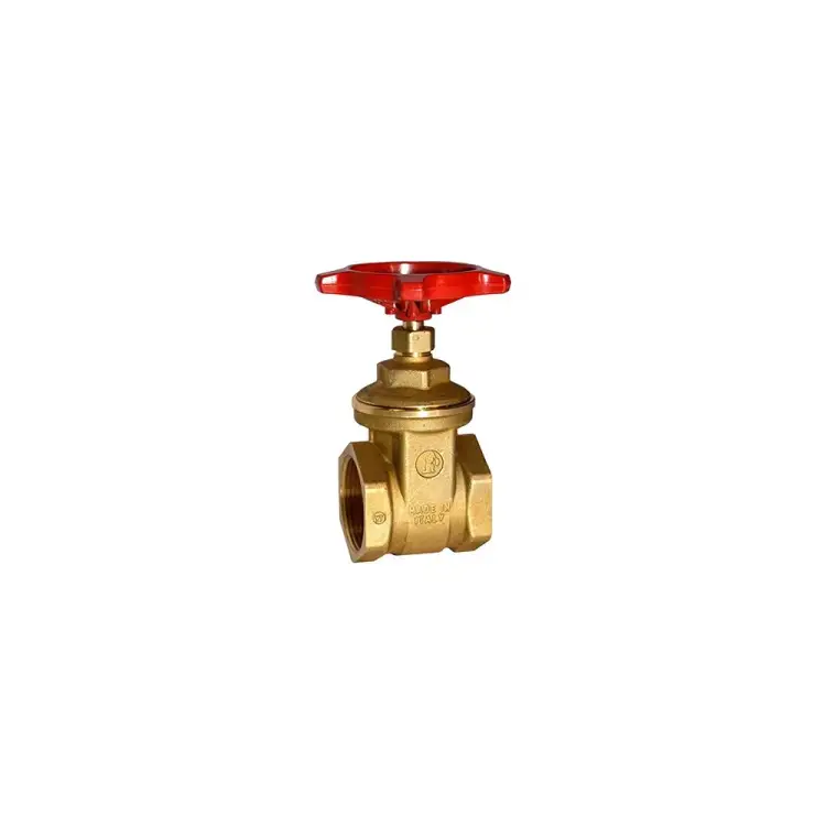 Клиновая задвижка Giacomini R55 R55Y005 007-1517