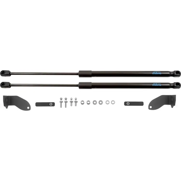 Упоры капота для HAVAL Jolion, 2021- Arbori HD.055103