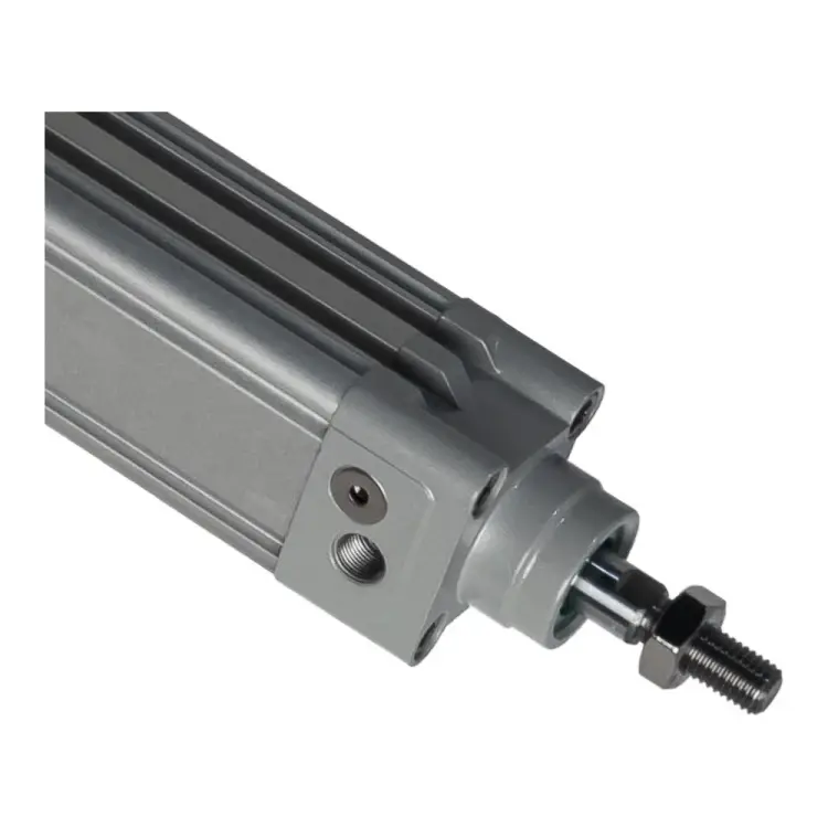 Пневмоцилиндр NBPT 80688