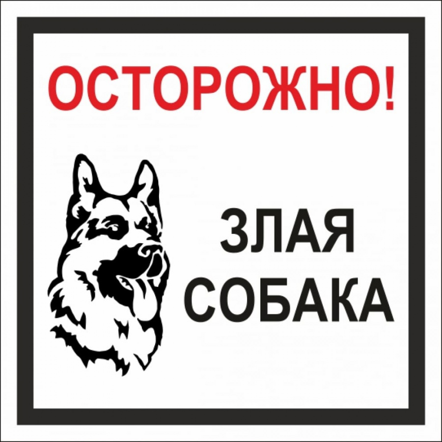 Табличка Стандарт Знак Осторожно! Злая собака