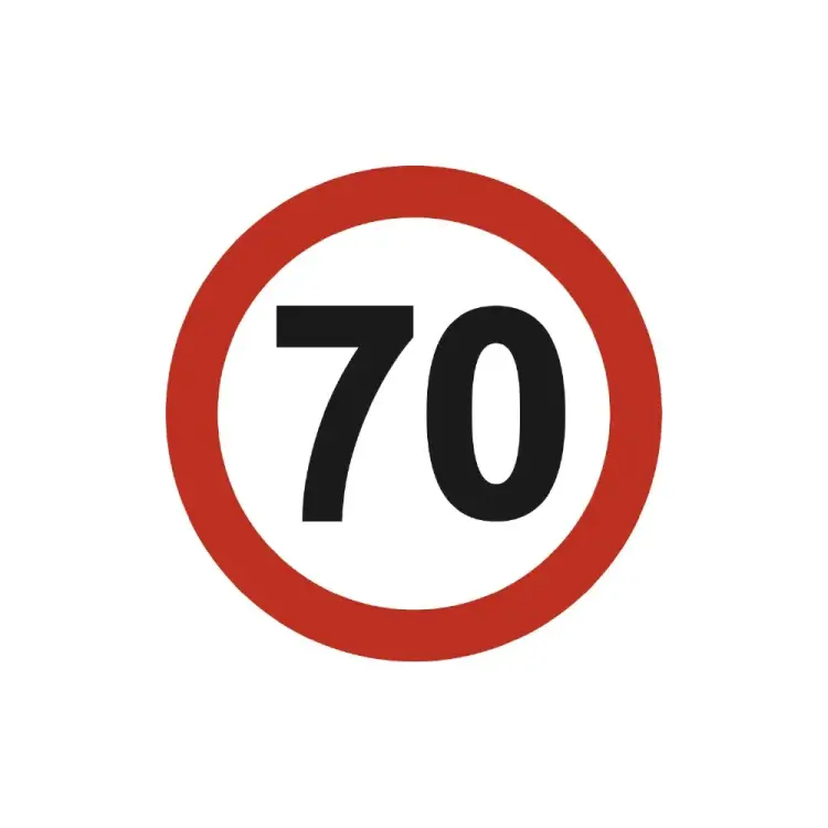 Круглая наклейка SKYWAY Ограничитель скорости S08101041