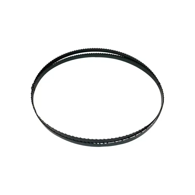 Полотно каленой ленточной пилы WOODWORK F10.6.3810-4