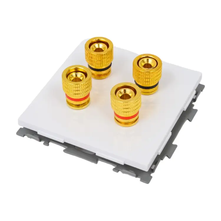 Аудио розетка CGSS Практика PL-W201A-WCG