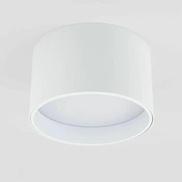 Накладной светильник Elektrostandard Banti 25123 a058846