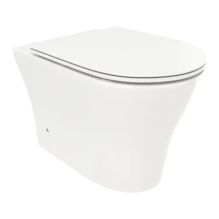 Безободковый приставной унитаз Cerutti SPA SPA Adige F 8907