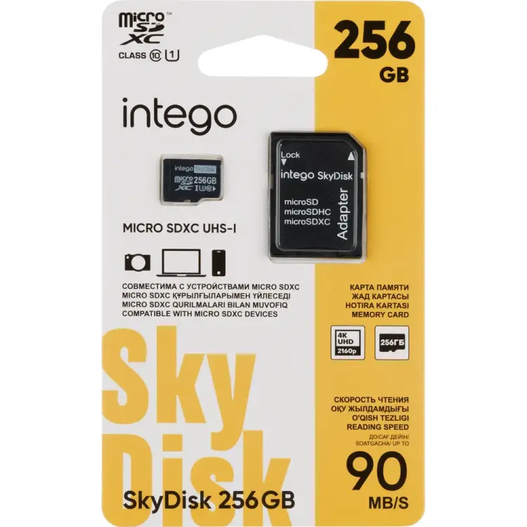 Карта памяти INTEGO SkyDisk SD-256