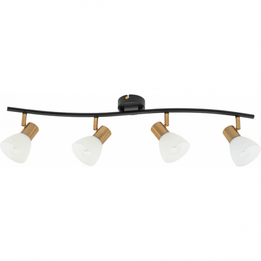 Потолочный светильник ARTE LAMP A3117PL-4BK