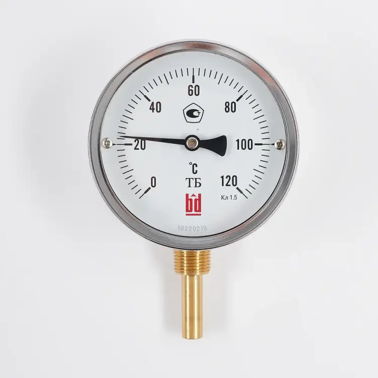Биметаллический термометр BD ТБ 100Р/100 1161001001