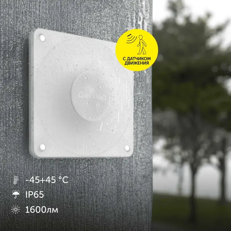 Настенный уличный влагостойкий вандалоустойчивый светодиодный светильник для сада и дачи Geniled 8221 08221