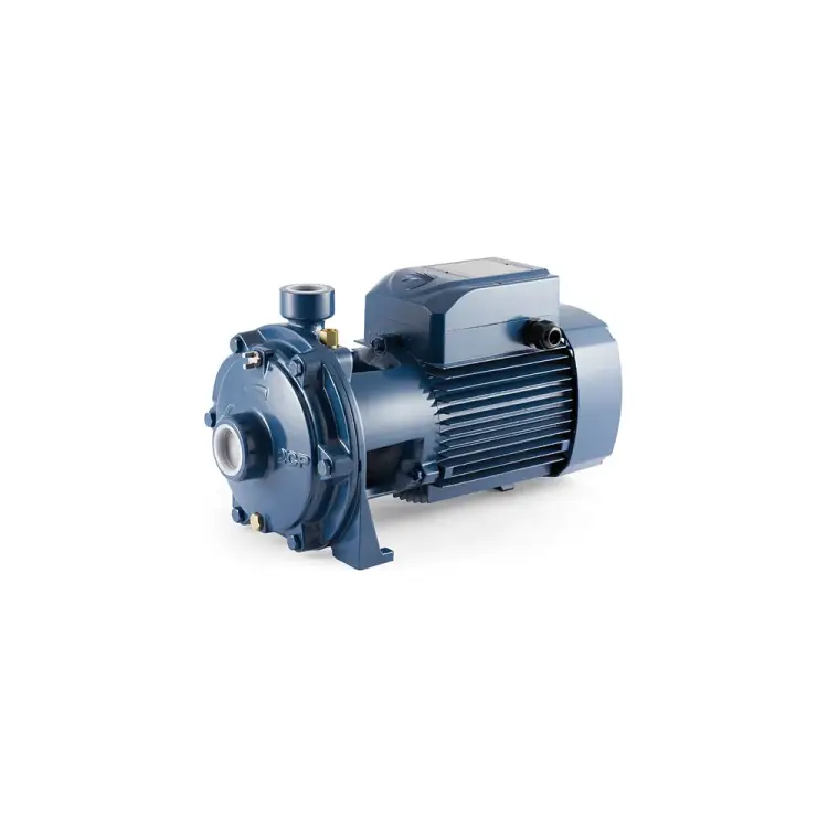 Насос Pedrollo 2 CP 25/ 14 B 452CT2616BA