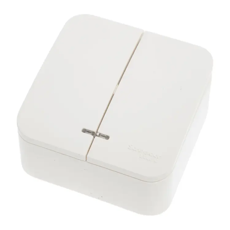 Двухклавишный выключатель Systeme Electric Blanca BLNVA065102