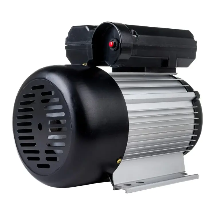 Электродвигатель Pegas pneumatic YL90L-2 6709