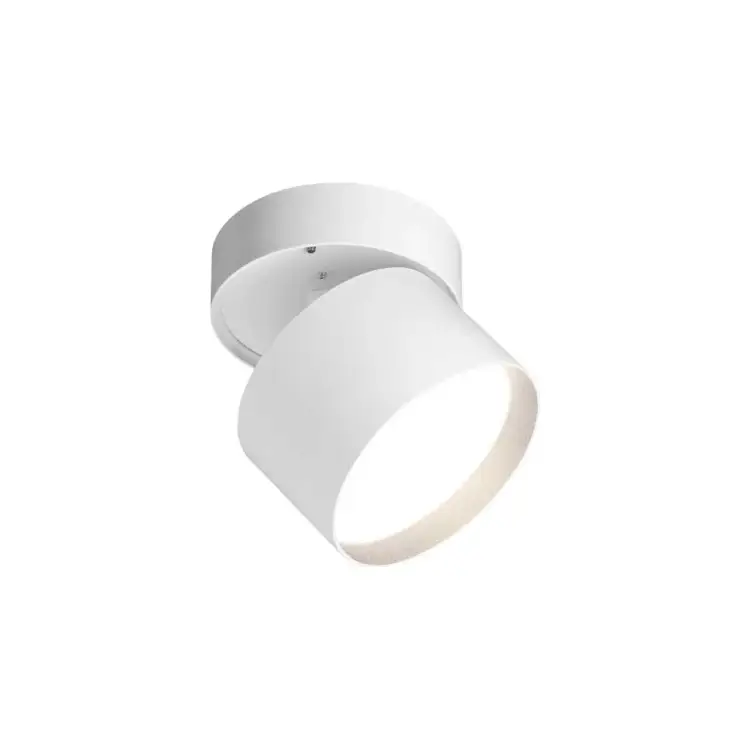 Накладной термостойкий светильник Wolta WSL-GX53/02W