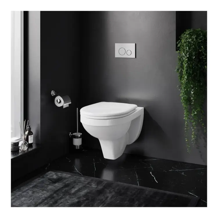 Подвесной унитаз Damixa Jupiter DX77C1738SC