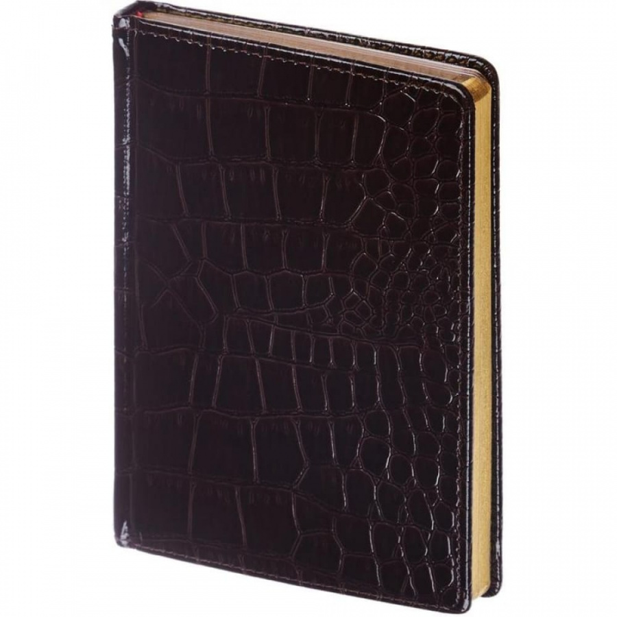 Недатированный ежедневник Attache Caiman
