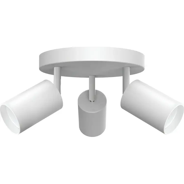 Настенно-потолочный светильник FERON ML203-1 41923