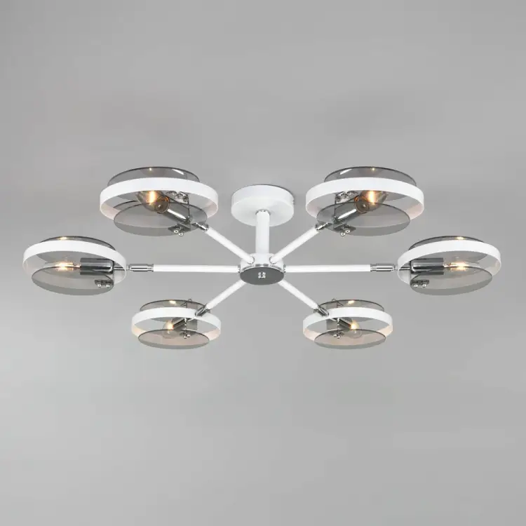 Потолочный светильник Eurosvet 70121 6 a052338