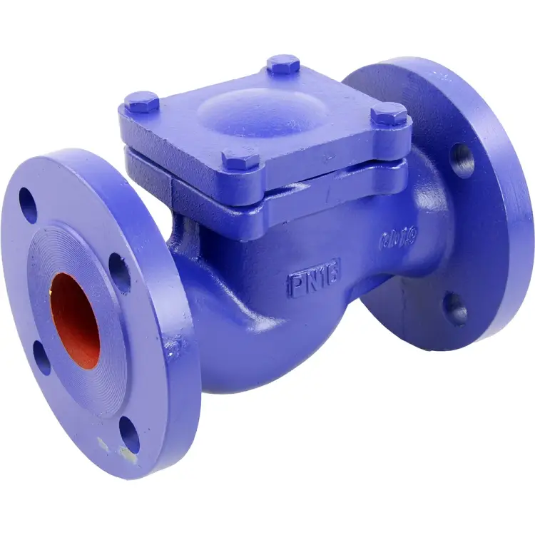 Чугунный фланцевый обратный подъемный клапан DN.ru 287a D100-02379