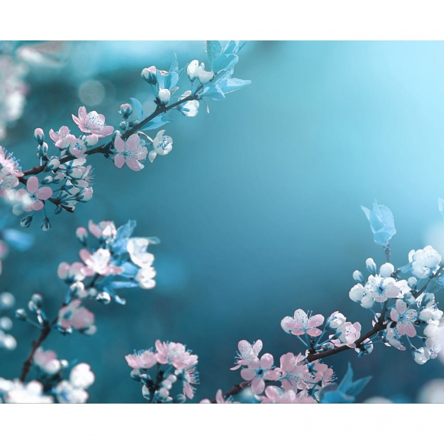 Фотообои PRIMAVERA Весна 3D