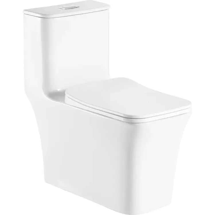 Напольный безободковый унитаз-моноблок Azario GRESSA AZ-1111 00080315