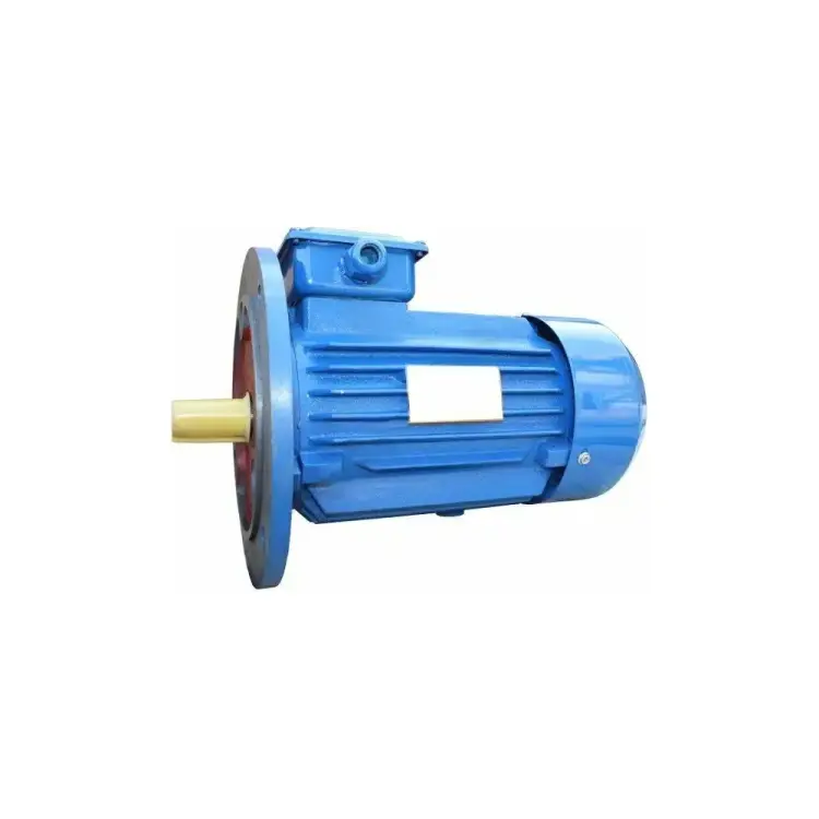 Электродвигатель 5АИ 90 L2 3/3000 IM 3081 01.01.216439