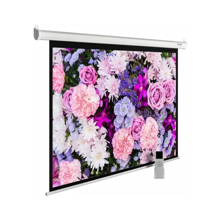 Настенно-потолочный рулонный экран Cactus MotoExpert 4:03 407821