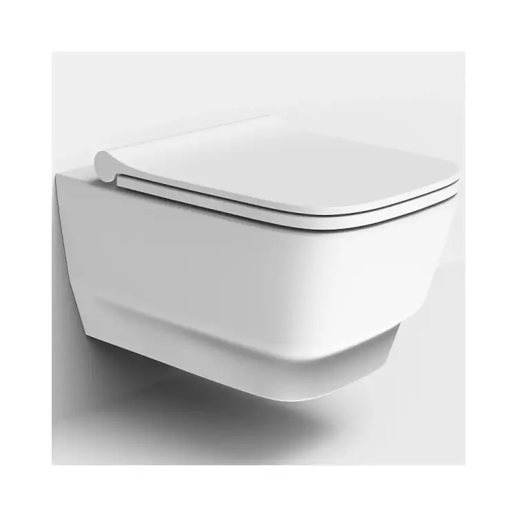 Подвесной безободковый унитаз Dreja ENZO 88.0001