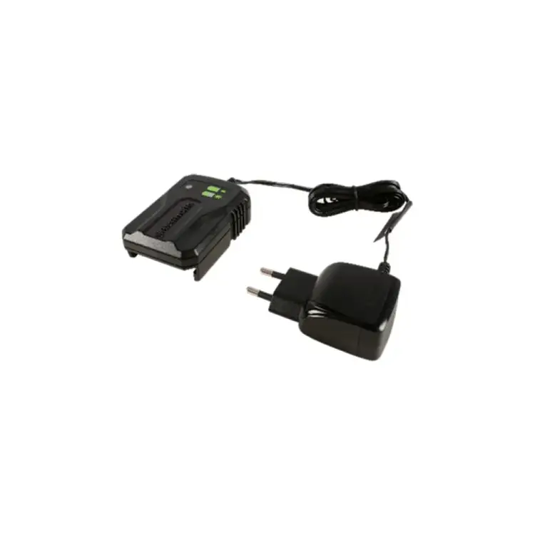 Зарядное устройство GreenWorks G24UC2 2946207