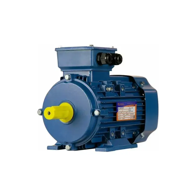 Электродвигатель 5АИ 80 В8 0.55/750 IM 1081 01.01.213550