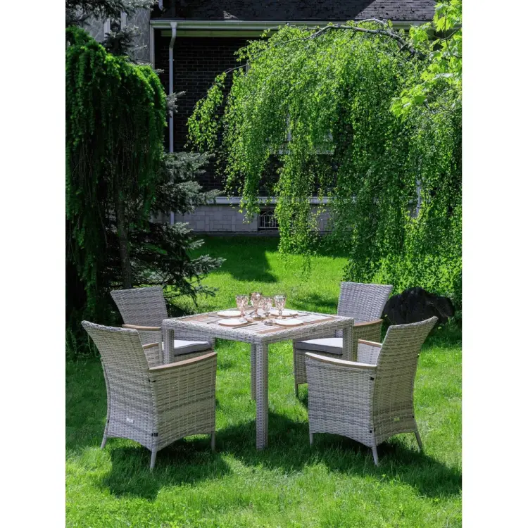 Обеденный комплект Royal Family AMELIA 760-763-21-21 Обеденный комплект Royal Family AMELIA 760-763-21-21