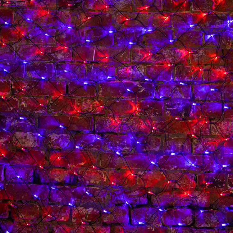 Светодиодная гирлянда Neon-Night Сеть 215-023