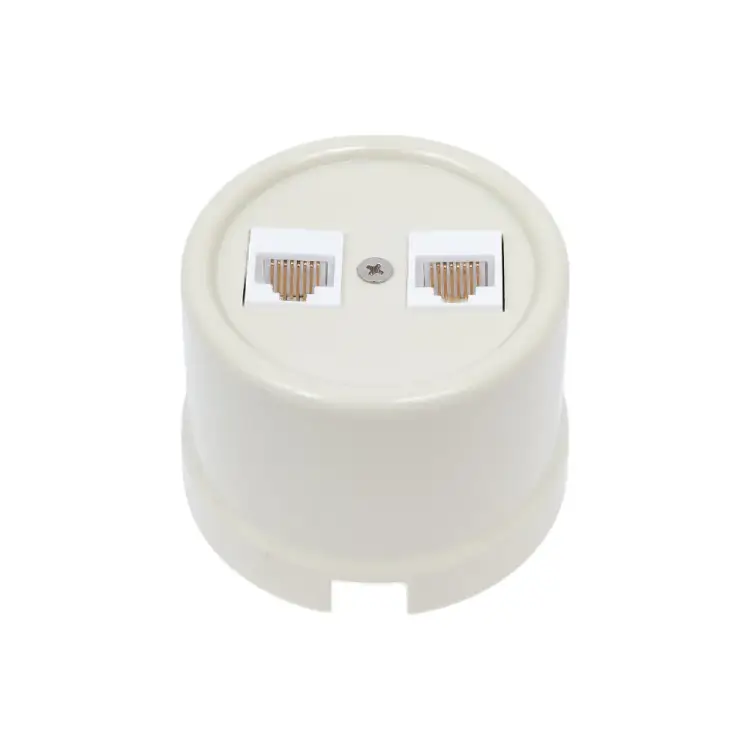 Информационная двойная розетка Bironi B1-302-211