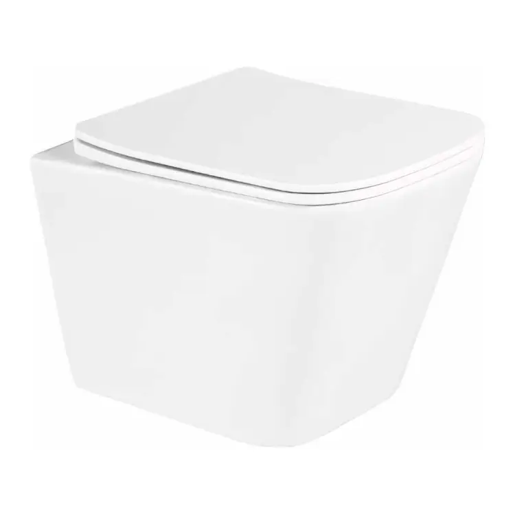 Подвесной безободковый унитаз BelBagno DUE BB3103CHR/SC